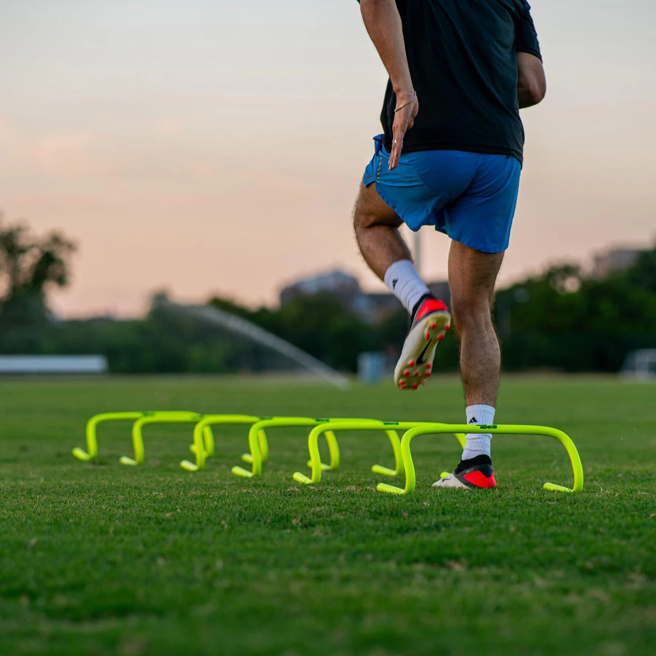 Exercice d'agilité avec haies
